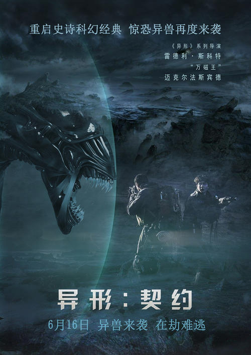 买个假的卡塔尔
